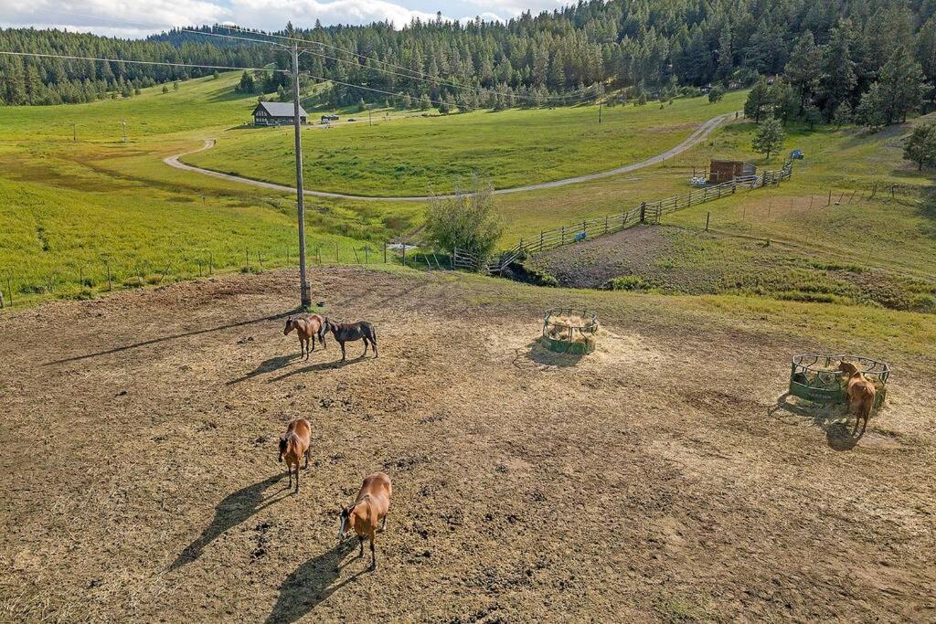 Wilderness Cabin - Eden Valley Oroville Bagian luar foto